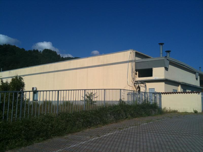 Vendesi Capannone Industriale a Villafranca In Lunigiana via cisa 33