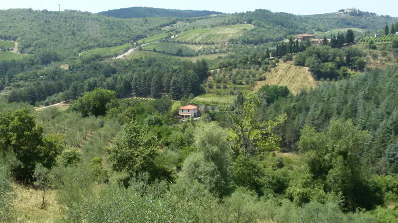 Vendesi Villa Singola Villino a Gaiole in Chianti via di capannelle, 30