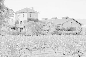 Vendesi Casa Indipendente  Assisi