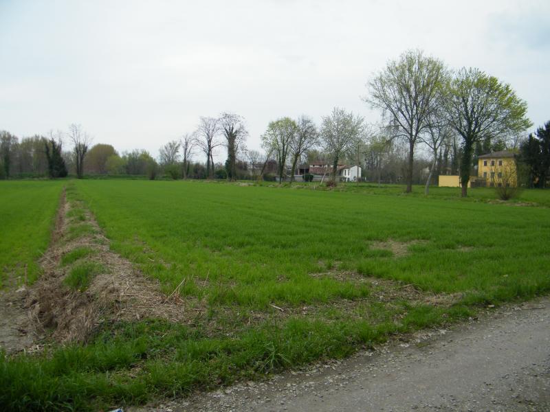 vendita terreno agricolo irriguo