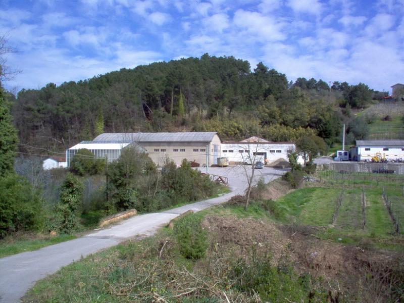 Vendesi Capannone Industriale a Montecarlo verruca