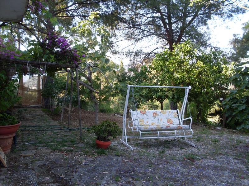 nel silenzioso verde del cenito in san marco di castellabate