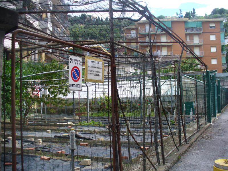 Vendesi Terreno Agricolo a Rapallo via privata gerani