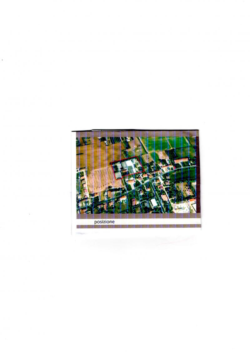 vendita capannone agroindustriale a noventa vicentina  vicenza