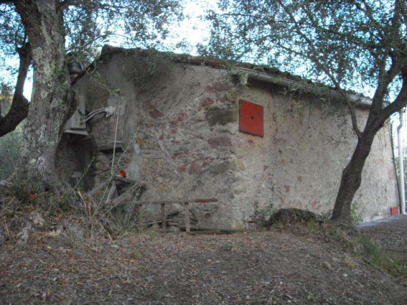 trebiano vendo rustico con terreno