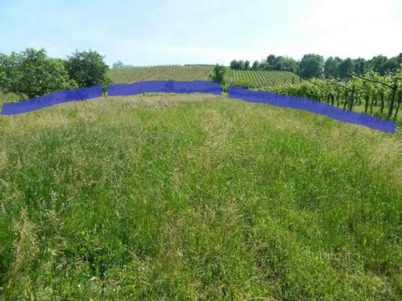 terreno pianeggiante