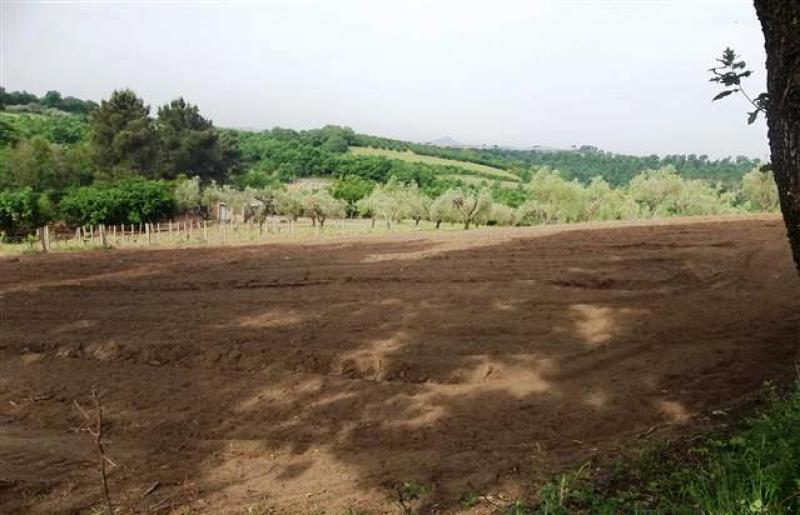 Vendesi Terreno Agricolo a Mazzano Romano localita   le zoccate