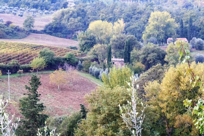 si6226 - casale indipendente con terreno nei pressi di cetona
