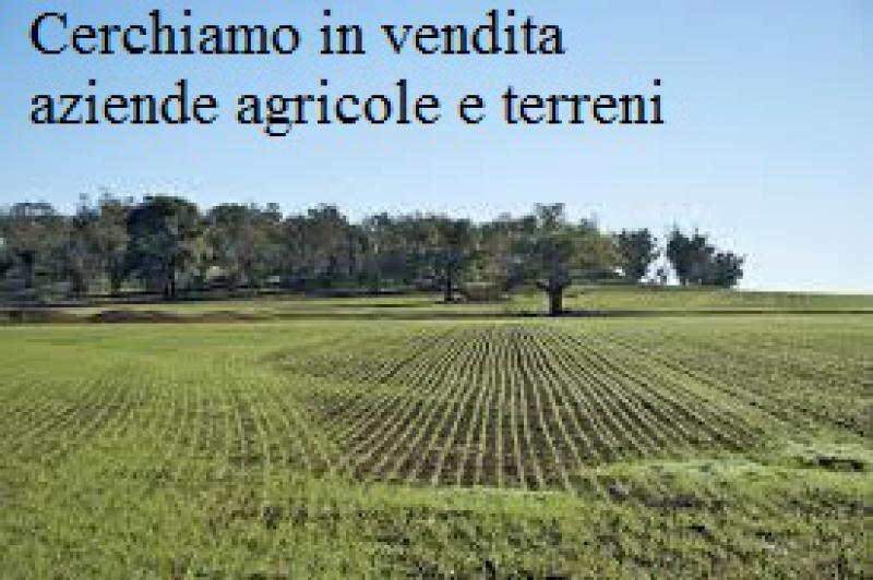 nurra di sassari e borgate cerchiamo in vendita terreni e aziende agricole !!!
