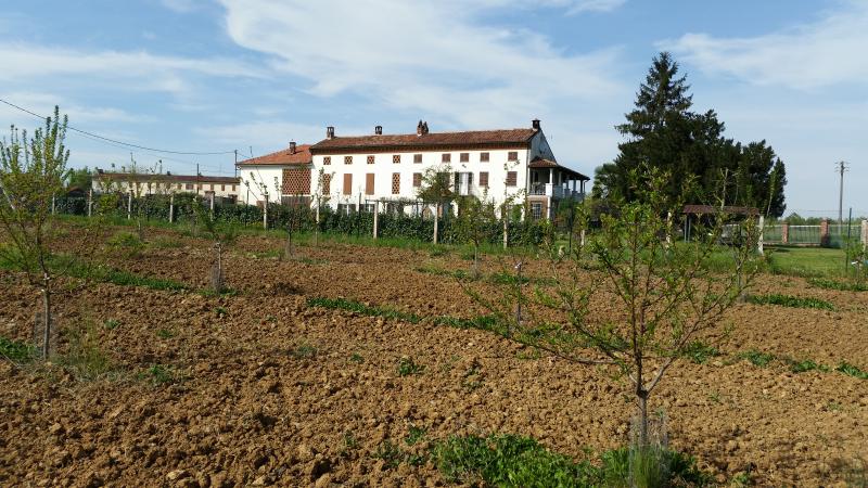 bel casale adatto anche per allevamento, uso ricettivo/comm.le