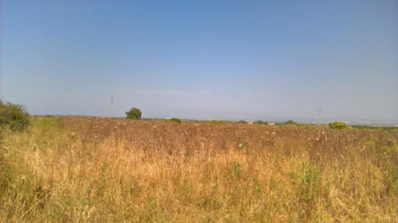 Vendesi Terreno Agricolo a Sassari localita   campanedda