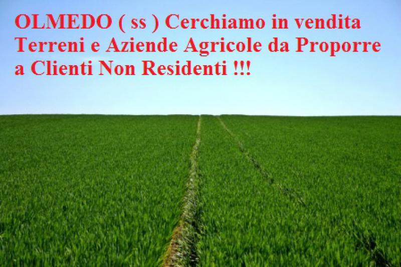 olmedo cerchiamo in vendita terreni e aziende agricole da proporre a non residenti !!!