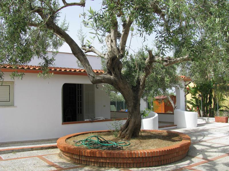 villino zona mare