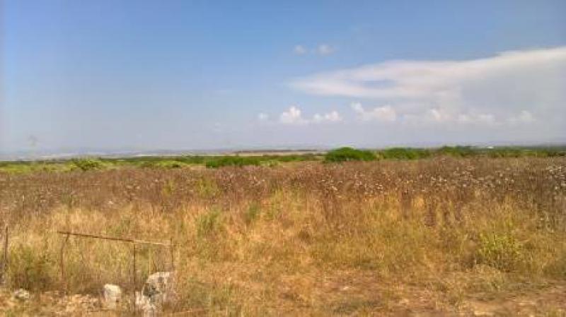 campanedda terreno agricolo mq 94.000 !!!