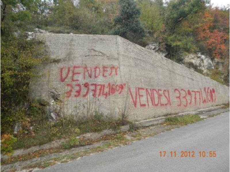 terreno bosco cedue