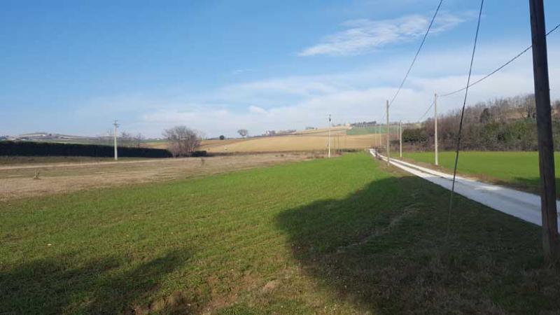 Vendesi Terreno Agricolo a Monte Porzio strada provinciale sp 424 cesanense
