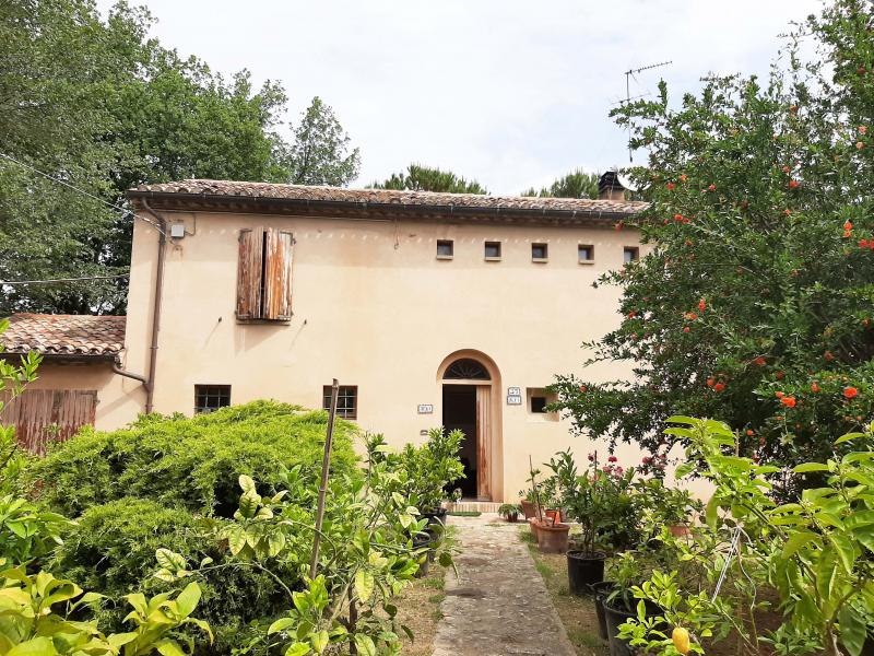 Vendesi Villa Singola Villino a Fano via sant andrea in villis 32