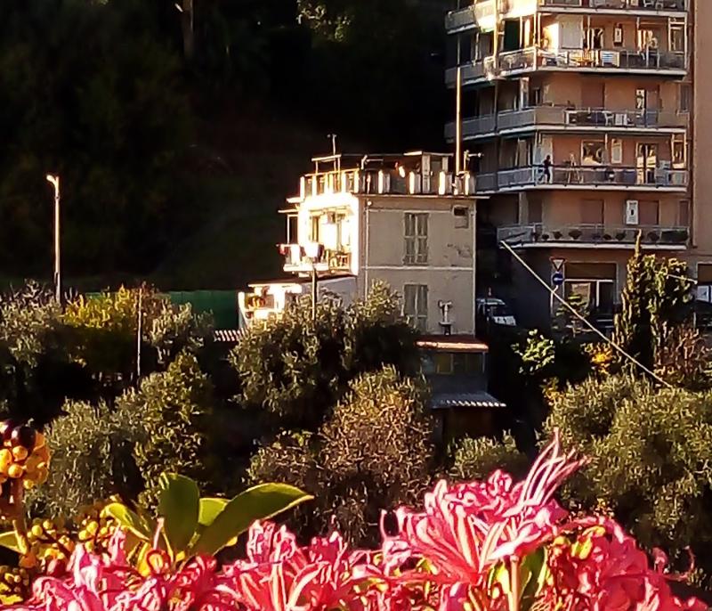 Vendesi Casa Indipendente a Sanremo via galileo galilei 102