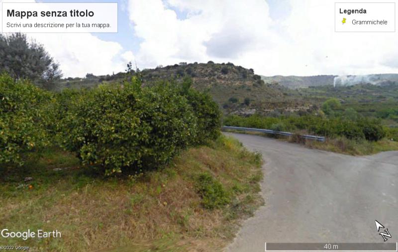 agrumeto in zona c.da niscima